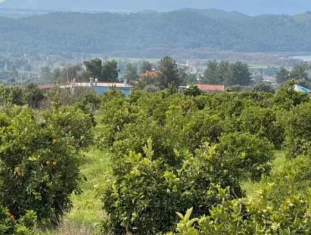 Zeytinalanı'nda Göl Manzaralı 13689M2 Satılık Arsa