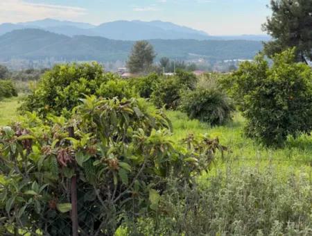 Zeytinalanı'nda Göl Manzaralı 13689M2 Satılık Arsa
