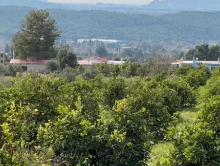 Zeytinalanı'nda Göl Manzaralı 13689M2 Satılık Arsa