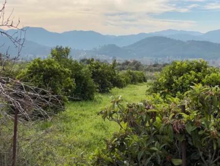 Zeytinalanı'nda Göl Manzaralı 13689M2 Satılık Arsa