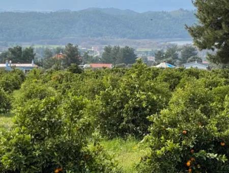 Zeytinalanı'nda Göl Manzaralı 13689M2 Satılık Arsa