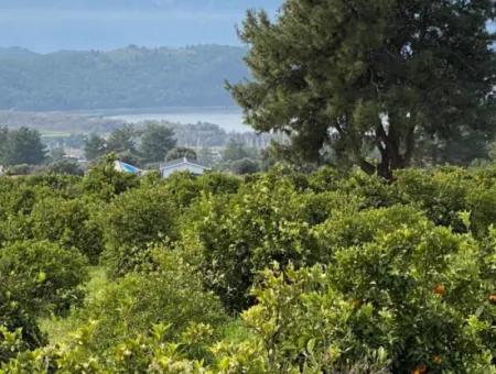 Zeytinalanı'nda Göl Manzaralı 13689M2 Satılık Arsa