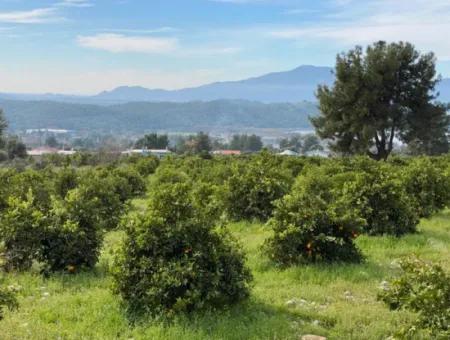 Zeytinalanı'nda Göl Manzaralı 13689M2 Satılık Arsa
