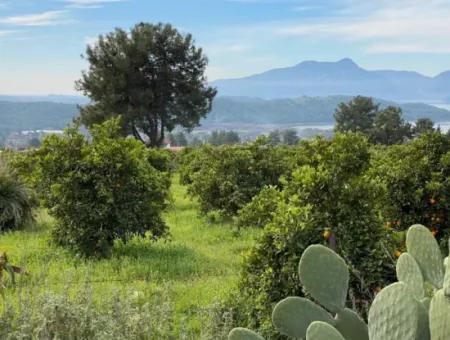 Zeytinalanı'nda Göl Manzaralı 13689M2 Satılık Arsa