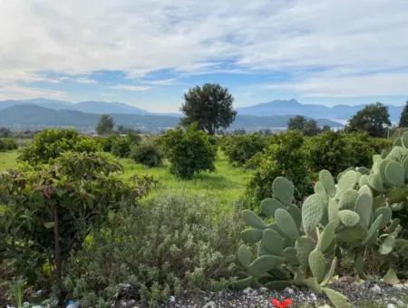 Zeytinalanı'nda Göl Manzaralı 13689M2 Satılık Arsa