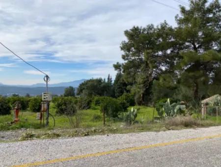 Zeytinalanı'nda Göl Manzaralı 13689M2 Satılık Arsa