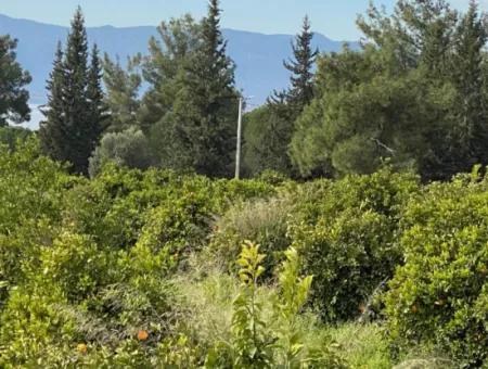 Zeytinalanı'nda Göl Manzaralı 13689M2 Satılık Arsa