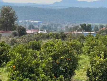 Zeytinalanı'nda Göl Manzaralı 13689M2 Satılık Arsa