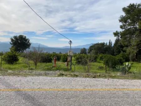 Zeytinalanı'nda Göl Manzaralı 13689M2 Satılık Arsa