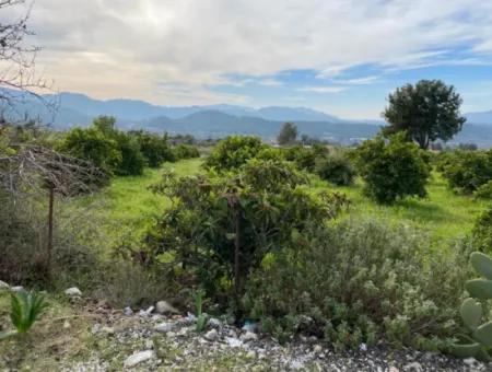 Zeytinalanı'nda Göl Manzaralı 13689M2 Satılık Arsa