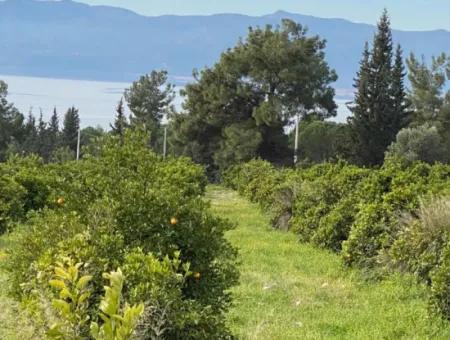 Zeytinalanı'nda Göl Manzaralı 13689M2 Satılık Arsa