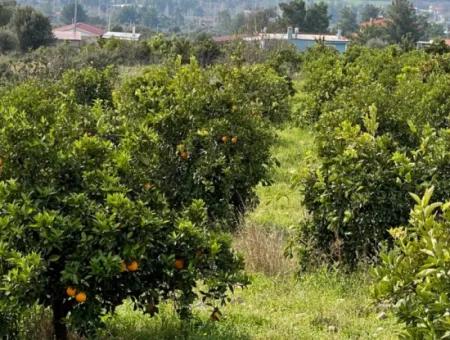 Zeytinalanı'nda Göl Manzaralı 13689M2 Satılık Arsa