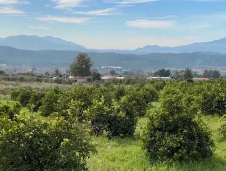 Zeytinalanı'nda Göl Manzaralı 13689M2 Satılık Arsa