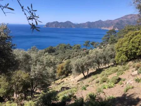 Çandır'da Deniz Manzaralı Satılık Arazi