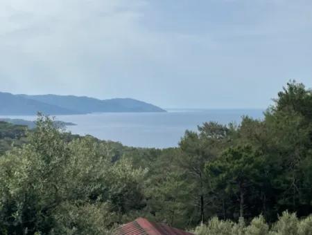 Ekincikde Deniz Manzaralı Zeytin Evi Satılıktır