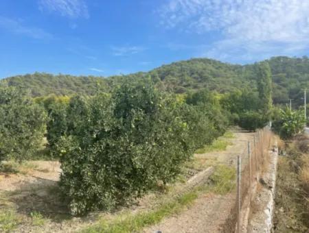 Tepearasın'da Köy Yerleşik Alanında İmarlı 4000M2 Satılık Arsa
