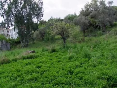 Ula Akyaka Ataköy De Doğa Manzaralı Satılık Emlak Arsa