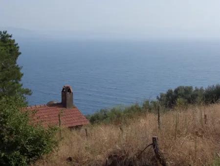Akyaka Kandilli De Satılık Arsa 5000M2 Full Deniz Manzaralı Satılık Köy Evi Arsa