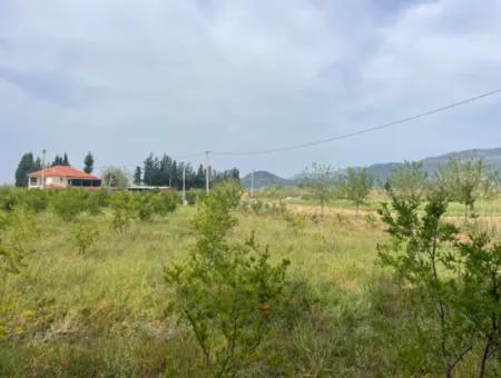 Dalyan'da 6500M2 Satılık Tarla